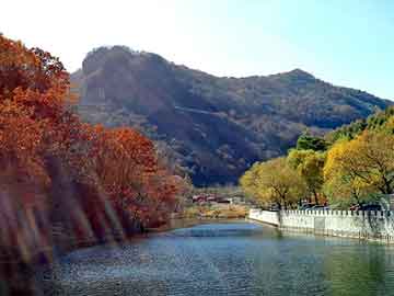 新澳天天开奖资料大全旅游团，女流氓的罗曼史